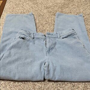 BDG Sky Blue Wide Leg Corduroy Pants